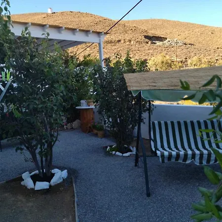 Little Garden * Péra Jalósz