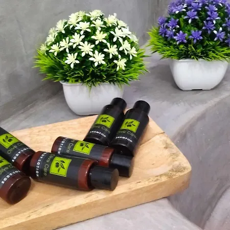 Little Garden Apartman