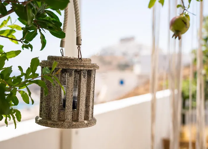 Little Garden